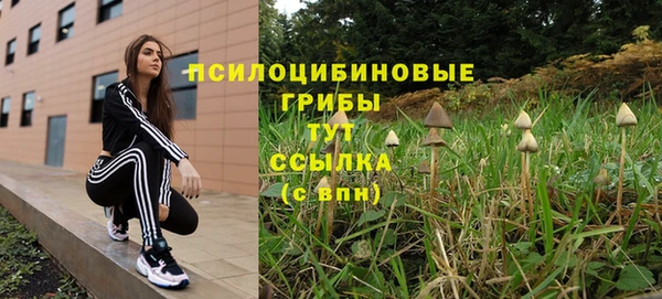 гашик Бородино
