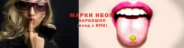 гашик Бородино
