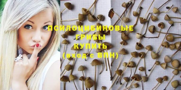 гашик Бородино
