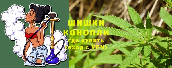ешки Бронницы