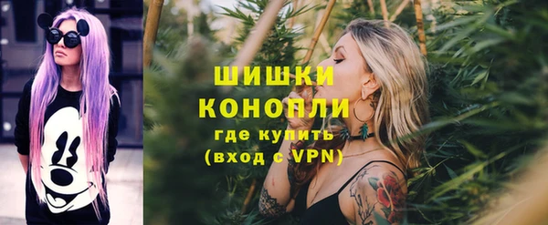 ешки Бронницы
