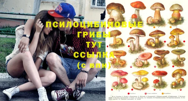 ешки Бронницы