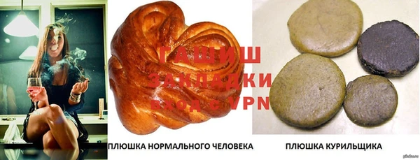гашик Бородино