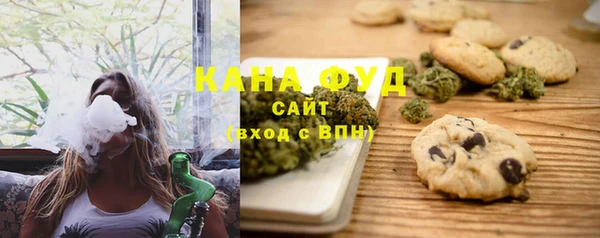 гашик Бородино